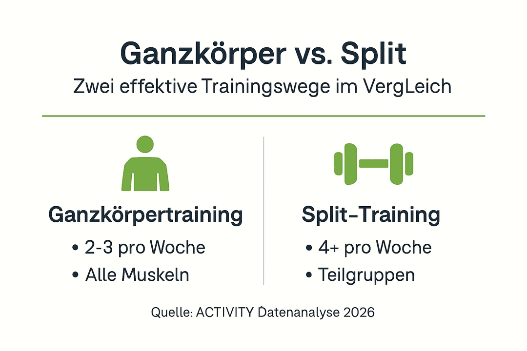 Infografik: Ganzkörpertraining oder Split-Training – Was passt besser zu dir?