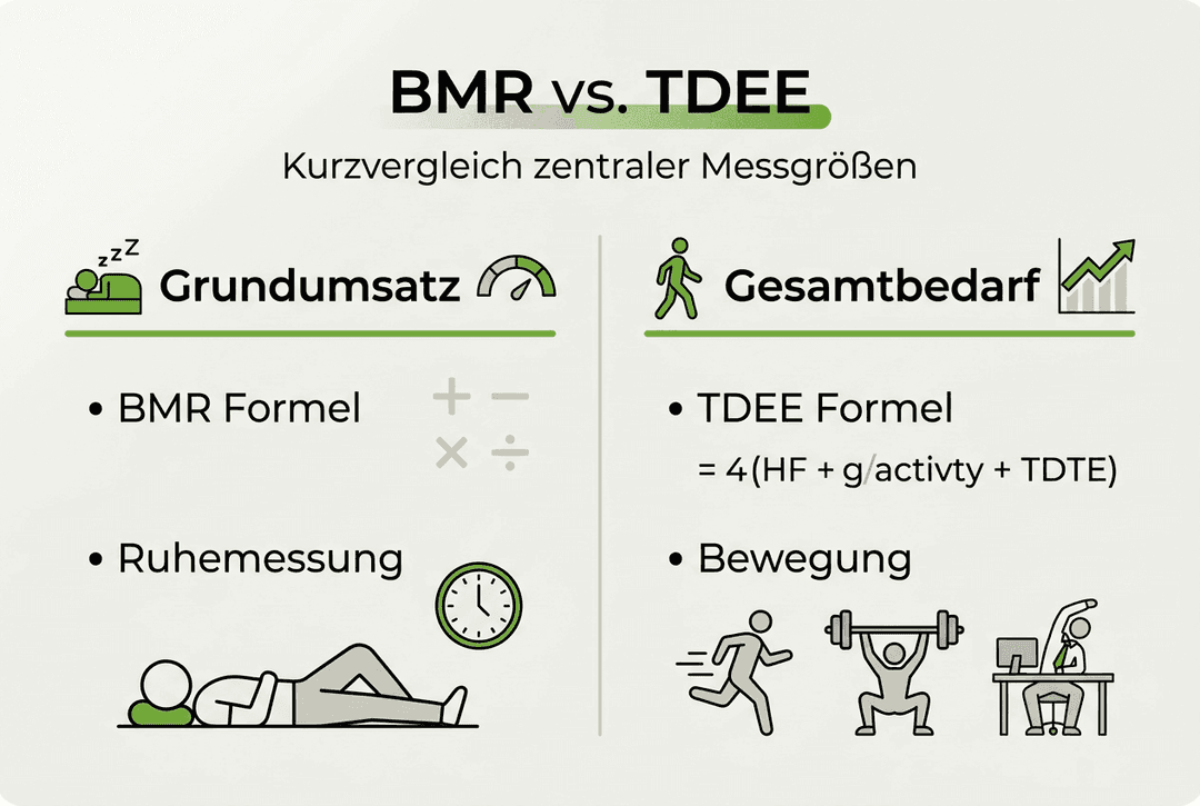 Vergleichsgrafik: Grundumsatz (BMR) und Gesamtenergieverbrauch (TDEE) im Überblick