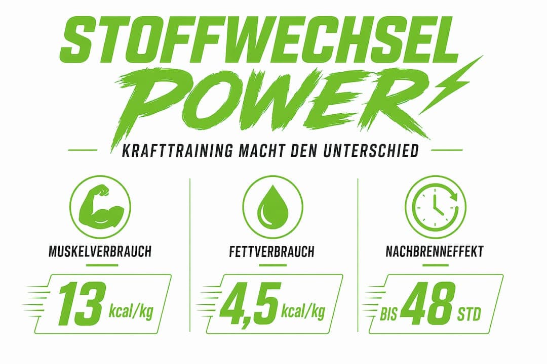 Infografik: Wissenswertes zum Stoffwechsel beim Krafttraining