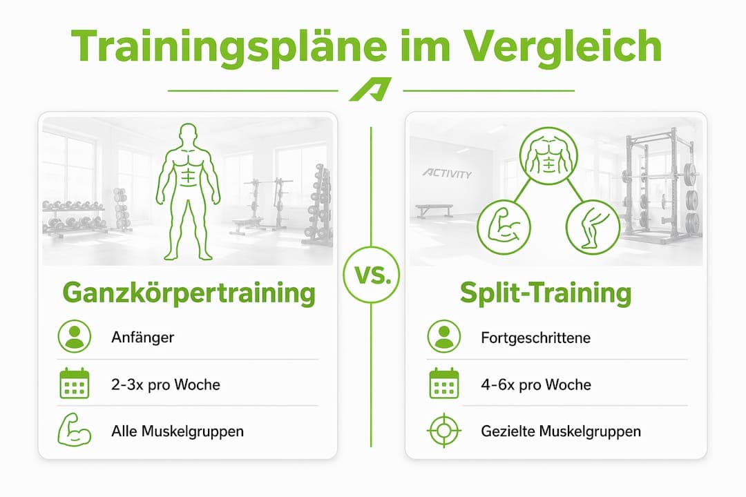 Infografik: Ganzkörpertraining vs. Splittraining – ein Überblick