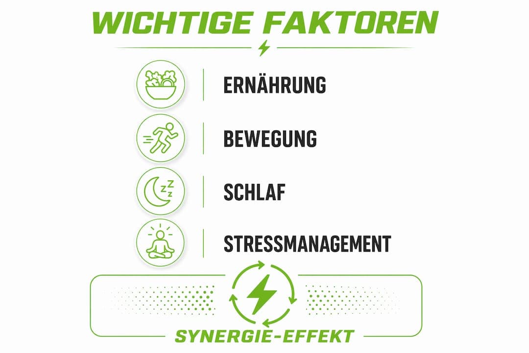 Grafik: Die wichtigsten Einflussfaktoren auf unser biologisches Alter