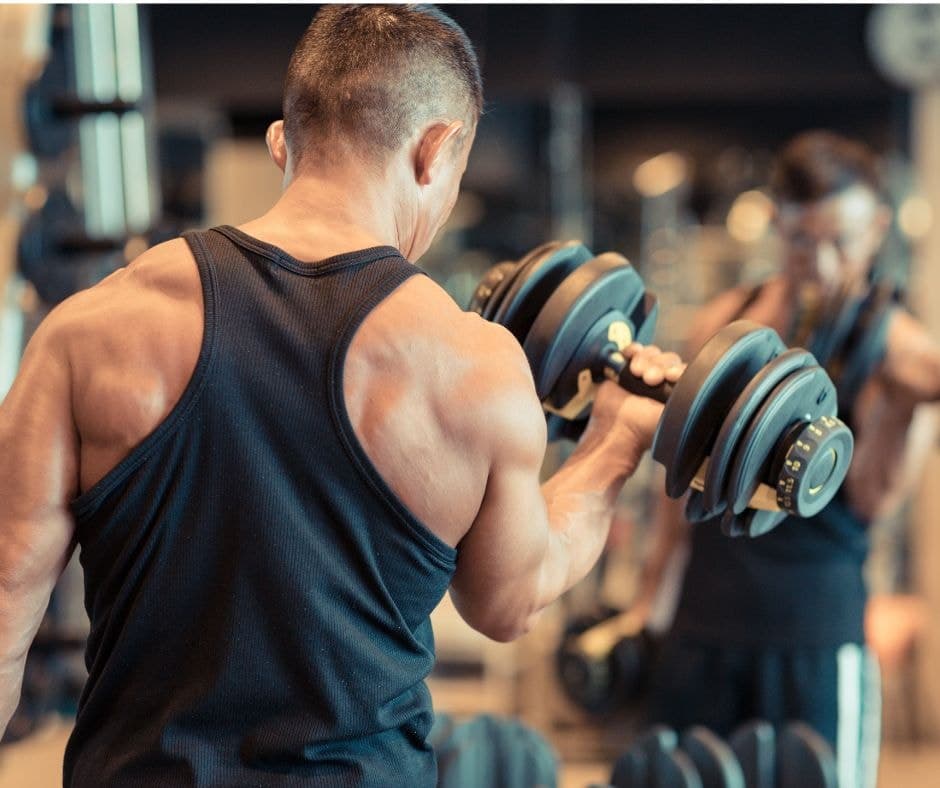 Workout Muskelaufbau training